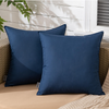 Set of 2 Outdoor Cushions with Waterproof Covers Included